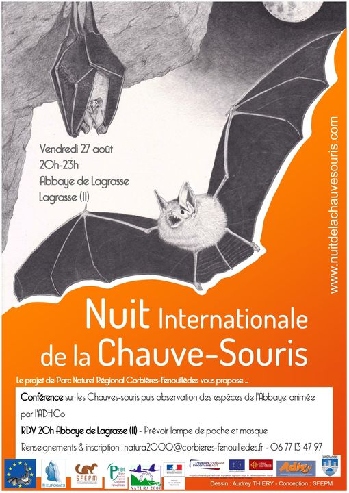 NuitChauveSouris